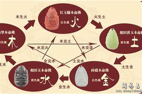 动物五行|动物的五行属性